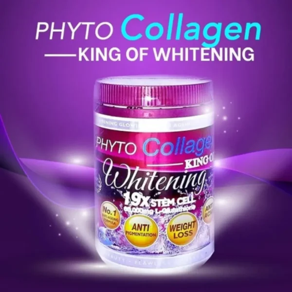 DSM PHYTO COLLAGEN KING OF WHITENING Phyto Booster Advanced Collagen 19x Stm Cell For Skin Lightening, Whitening, Glowing, and Anti-Aging - Image 2