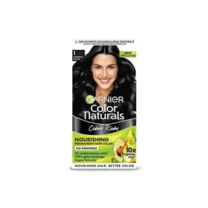 Garnier Hair Color Natural Black 30g